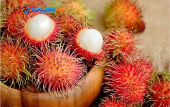 Jangan Tertipu Warna! Ini Ciri Rambutan Manis yang Pasti Bikin Ketagihan