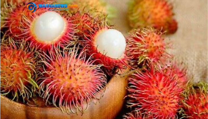 Jangan Tertipu Warna! Ini Ciri Rambutan Manis yang Pasti Bikin Ketagihan